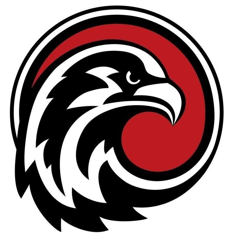 Eagle Car Audio logo